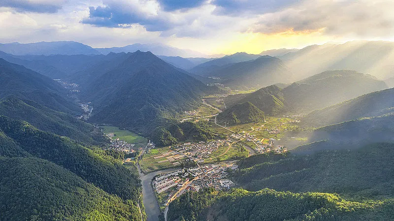 24782ce13bf595d3d75fafd2129cb341-sz_320309