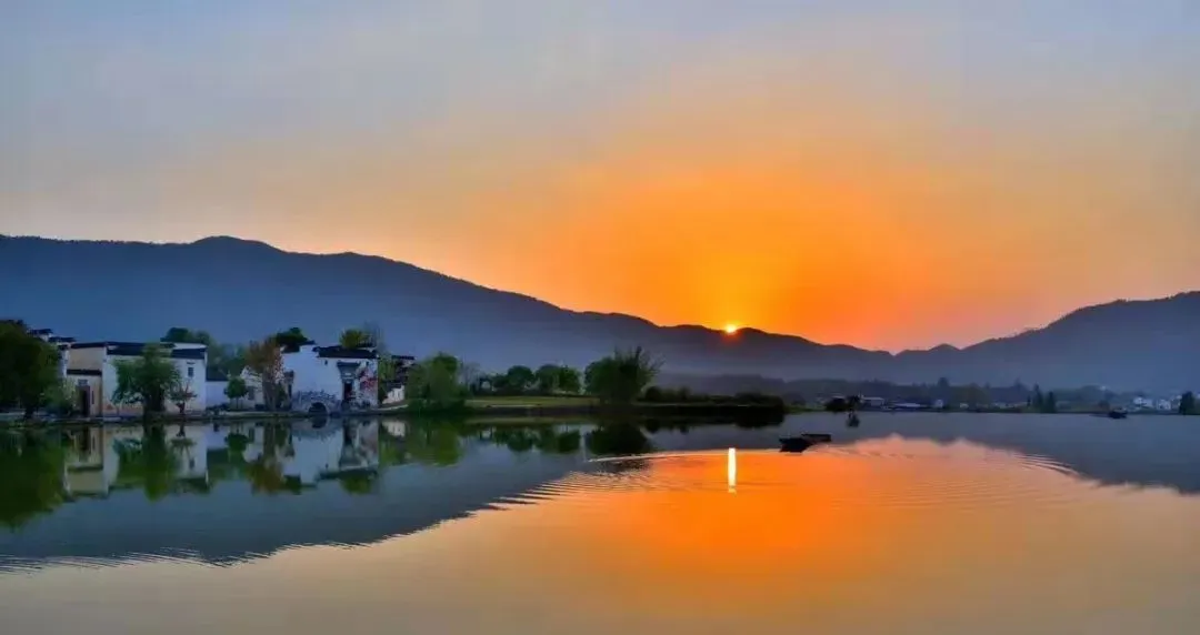 24990ce286ab56c042c4f71b7e4b859b-sz_40545 24990ce286ab56c042c4f71b7e4b859b-sz_40545