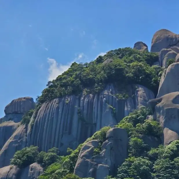 24e224e860288428c7978d2f933be1eb-sz_71789-1