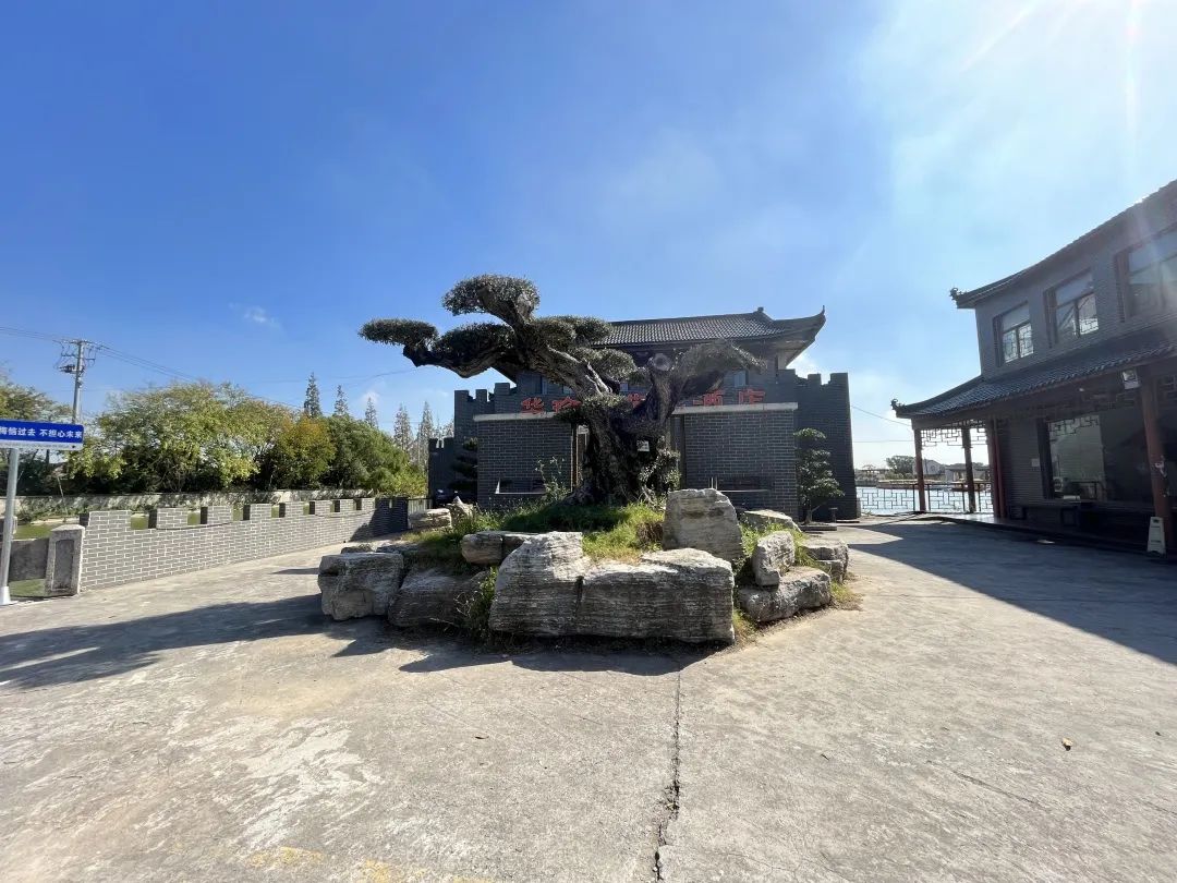 24f5672cf44624075541a061cf39666e