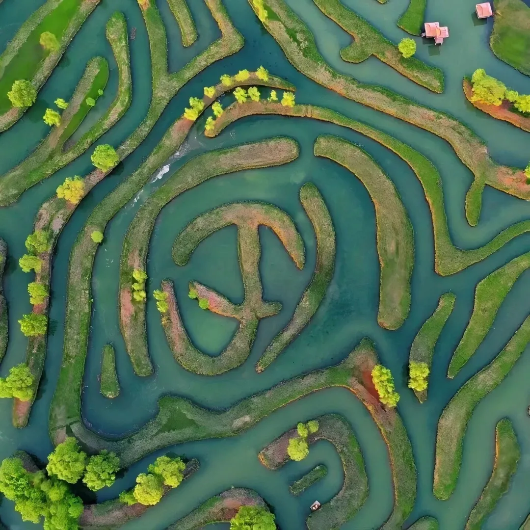 2500b3ab68fc2cdad01a74752755c5aa-sz_410891 2500b3ab68fc2cdad01a74752755c5aa-sz_410891