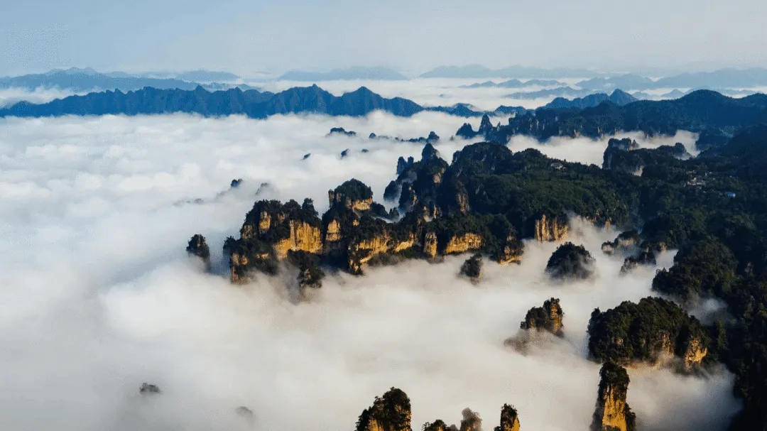 2509351cb2aca0a39f63126ffd9c0a28-sz_799197 2509351cb2aca0a39f63126ffd9c0a28-sz_799197