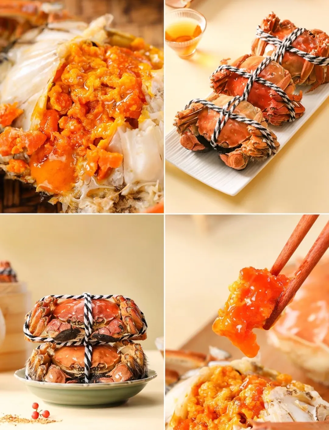 2510372fb4e7a6c9d8ae555dbe8f5628-sz_415461 2510372fb4e7a6c9d8ae555dbe8f5628-sz_415461