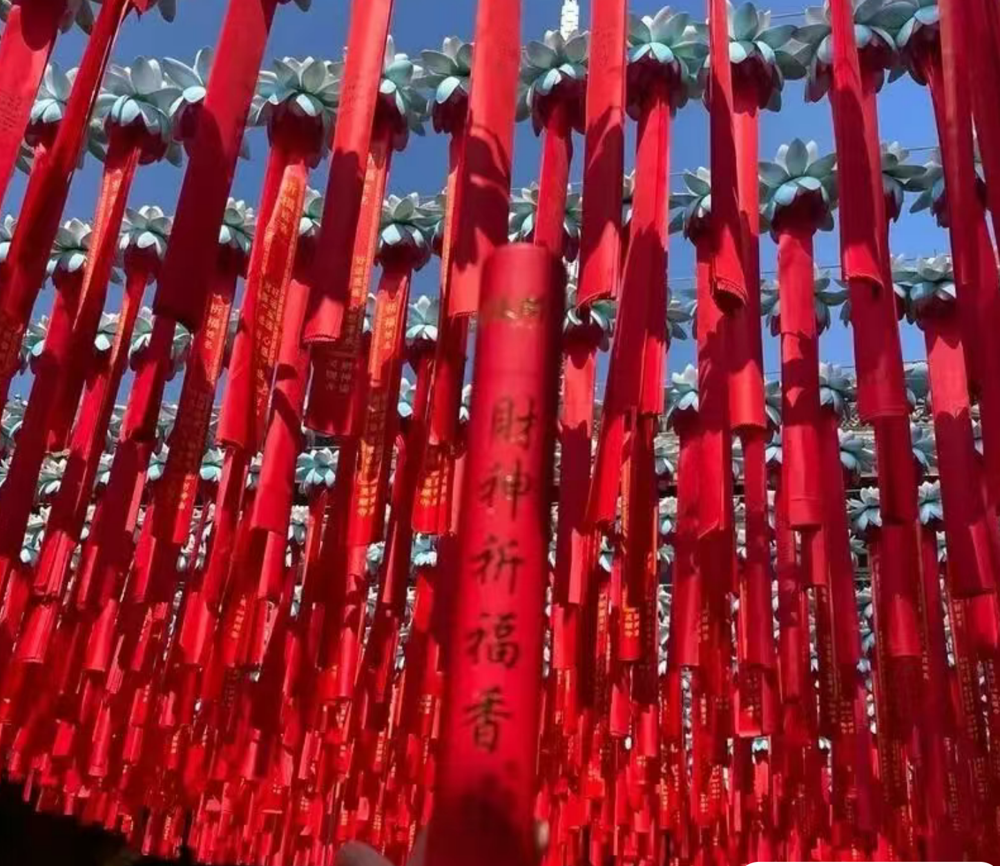 2544491655246cf9622da098786bb7da 2544491655246cf9622da098786bb7da