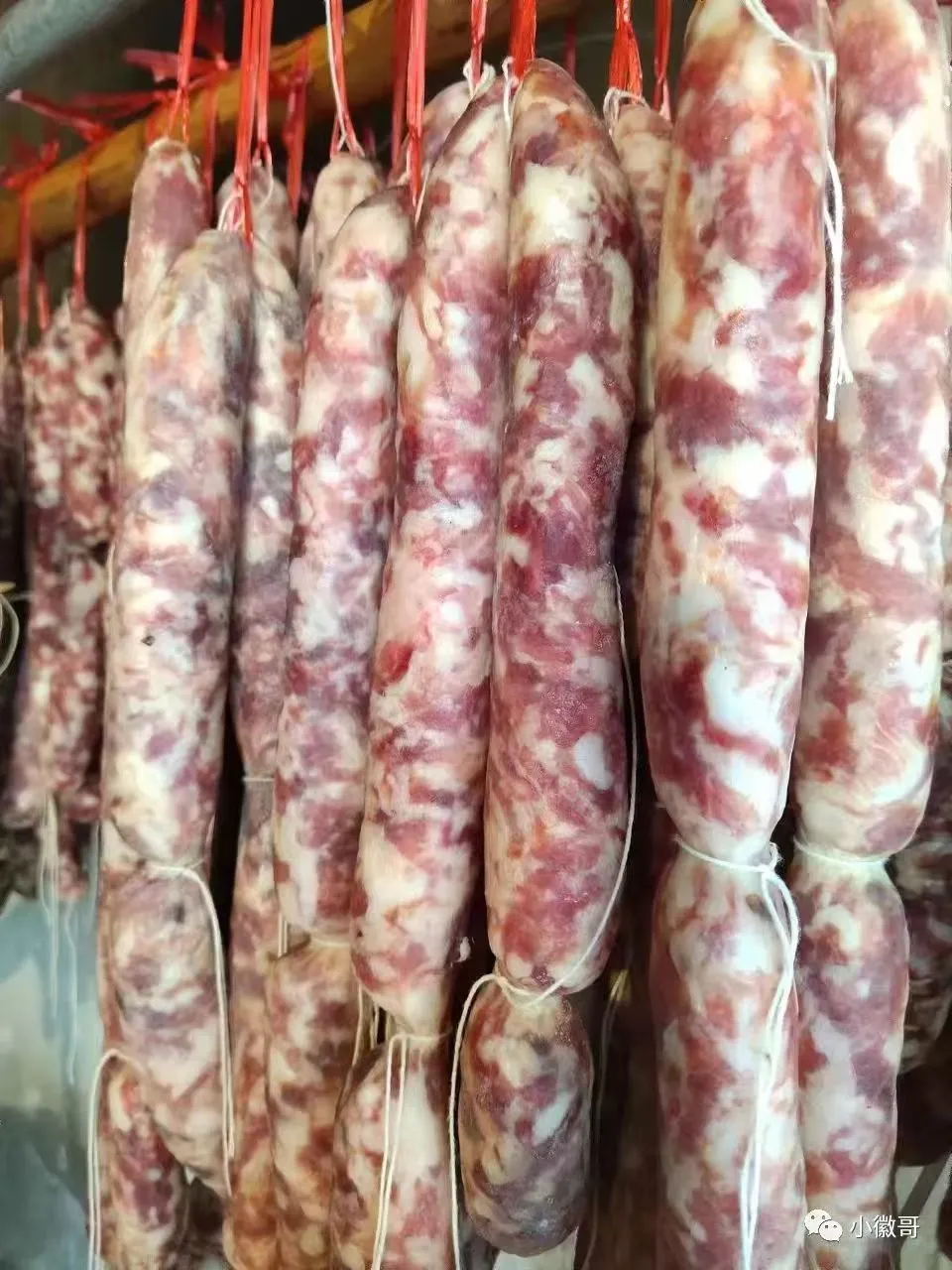 2545496913b9dfd4e1781817590138ea-sz_176015-2