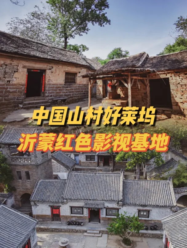 25697c4bb2ee3be350ea814b8c7236d4-sz_986303