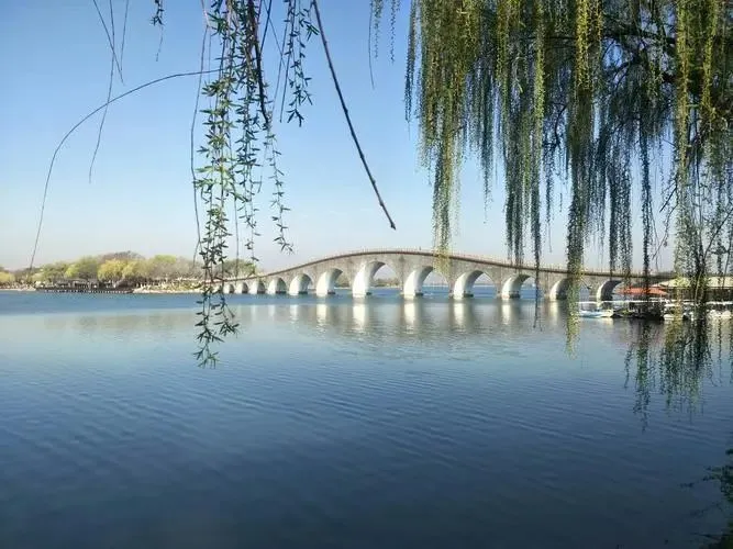 2576ccbfc48a1489df71bcdd7f8c24b7-sz_66185 2576ccbfc48a1489df71bcdd7f8c24b7-sz_66185