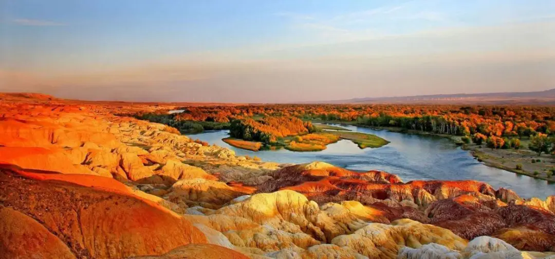 2585467cf4ac969a1d55efb029bc6f8b-sz_98610-1