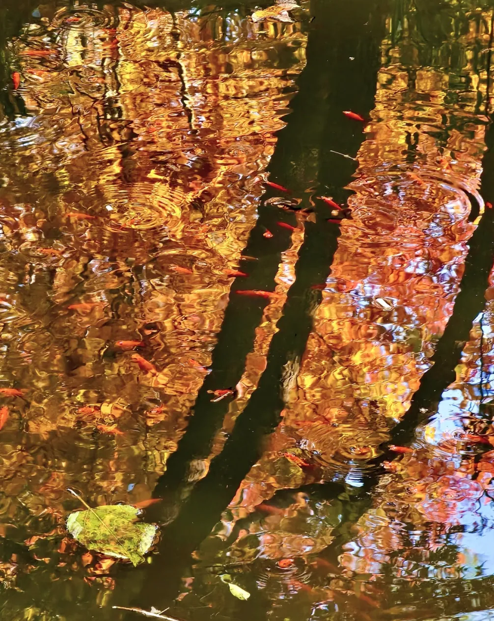 258634a1a43a193b5089c175939390a0-sz_2087791