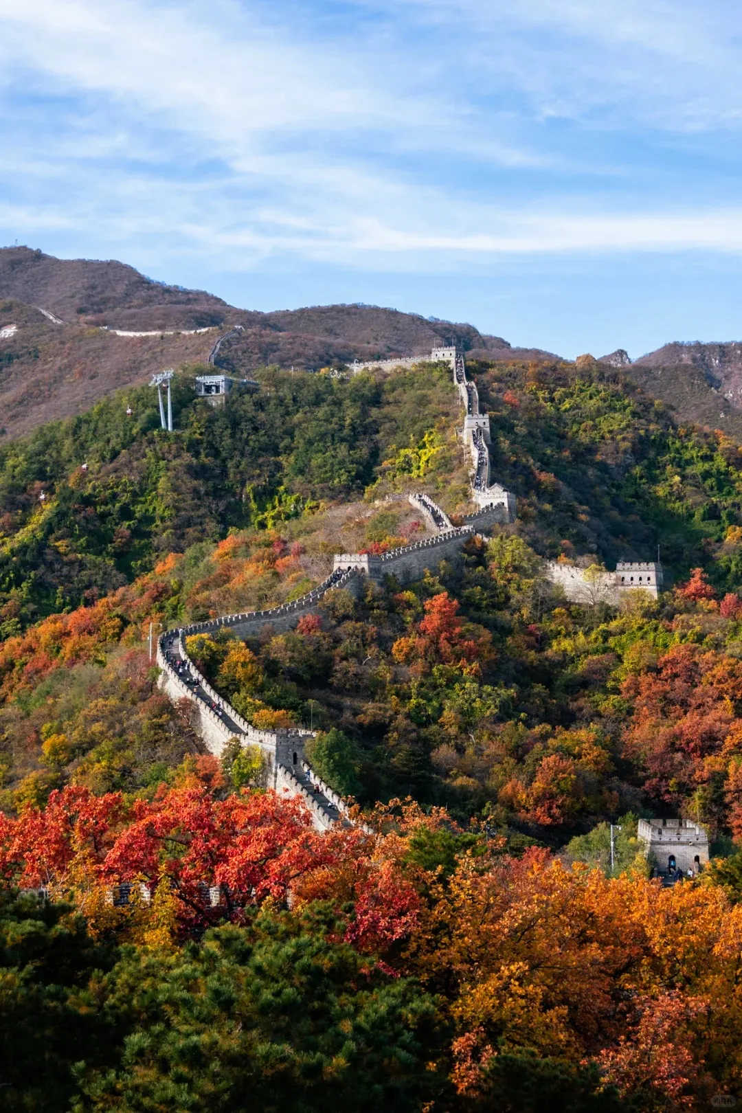 25a089bb1d071867d4c552a79232f8fe-sz_604069