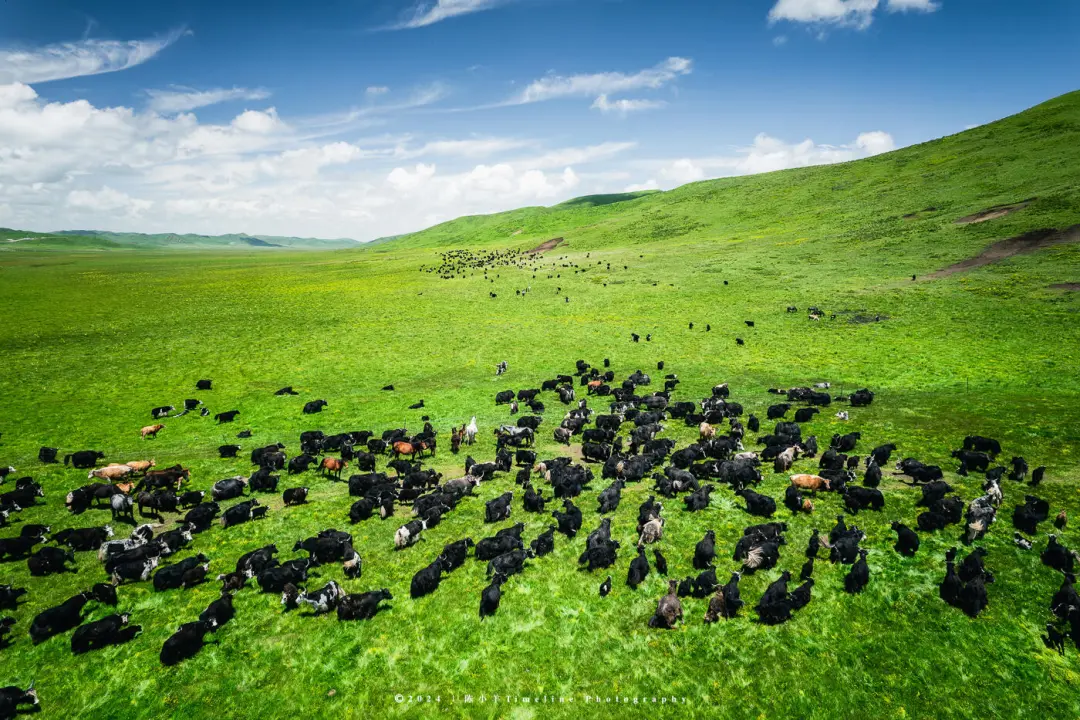 25c5a731ed2bfed9ad8151902c56e93a-sz_434631 25c5a731ed2bfed9ad8151902c56e93a-sz_434631