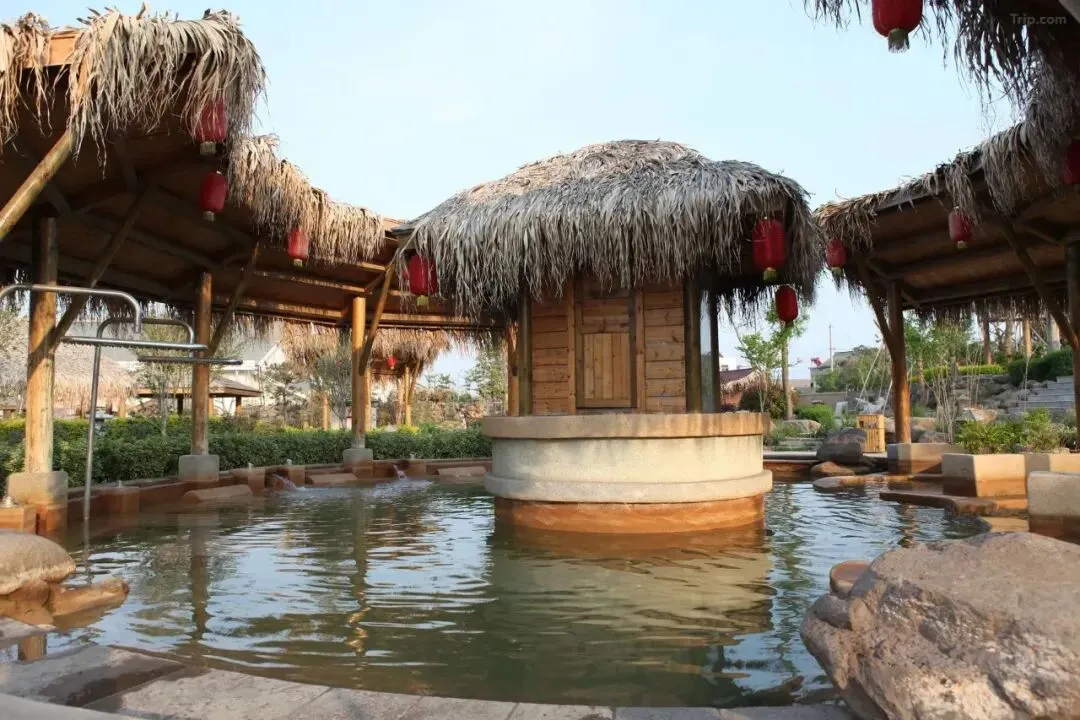 25d4aa0b96af32d0a700a1d036918c09-sz_152654