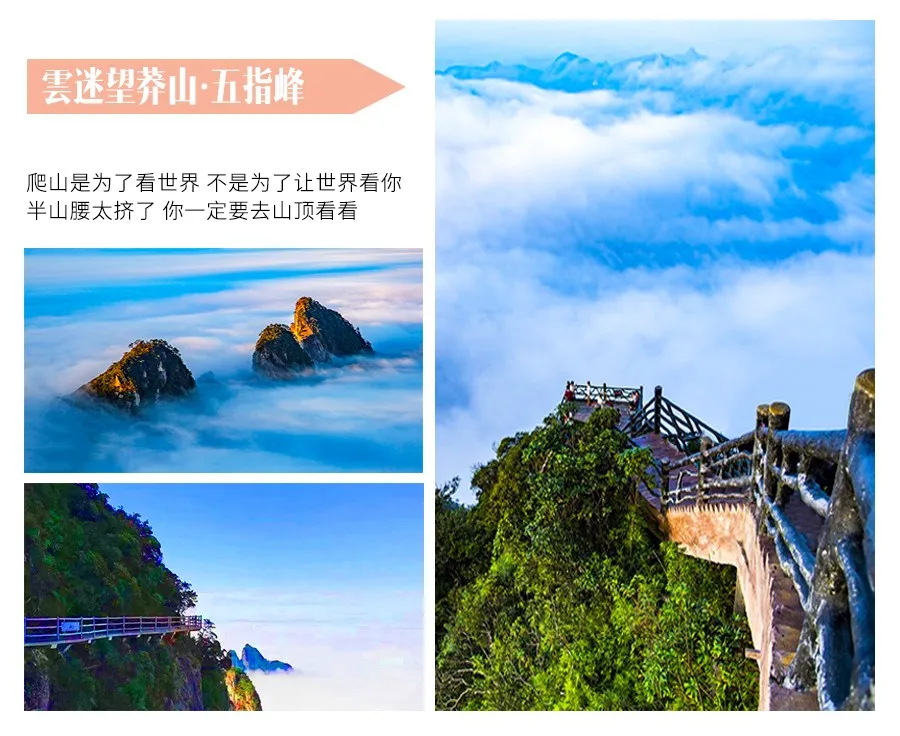 25f4c4e2910d5629183559b7aa14f303-sz_172190 25f4c4e2910d5629183559b7aa14f303-sz_172190