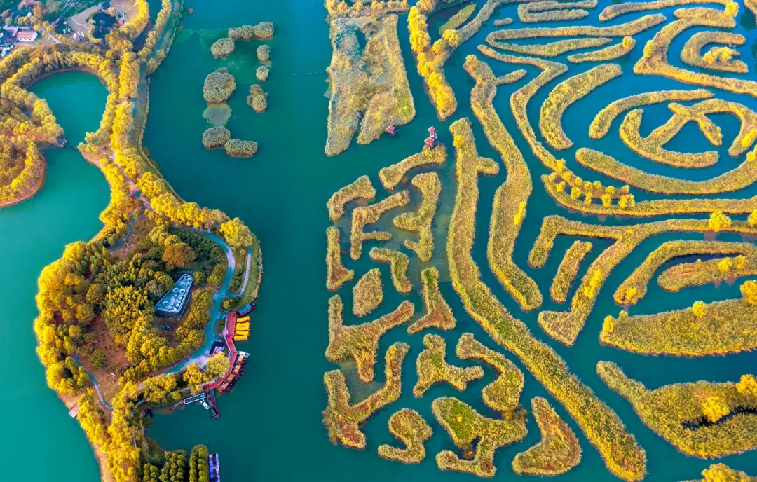 260a72b4ddebff1dcdf3c19cf60b90f6-sz_1878533