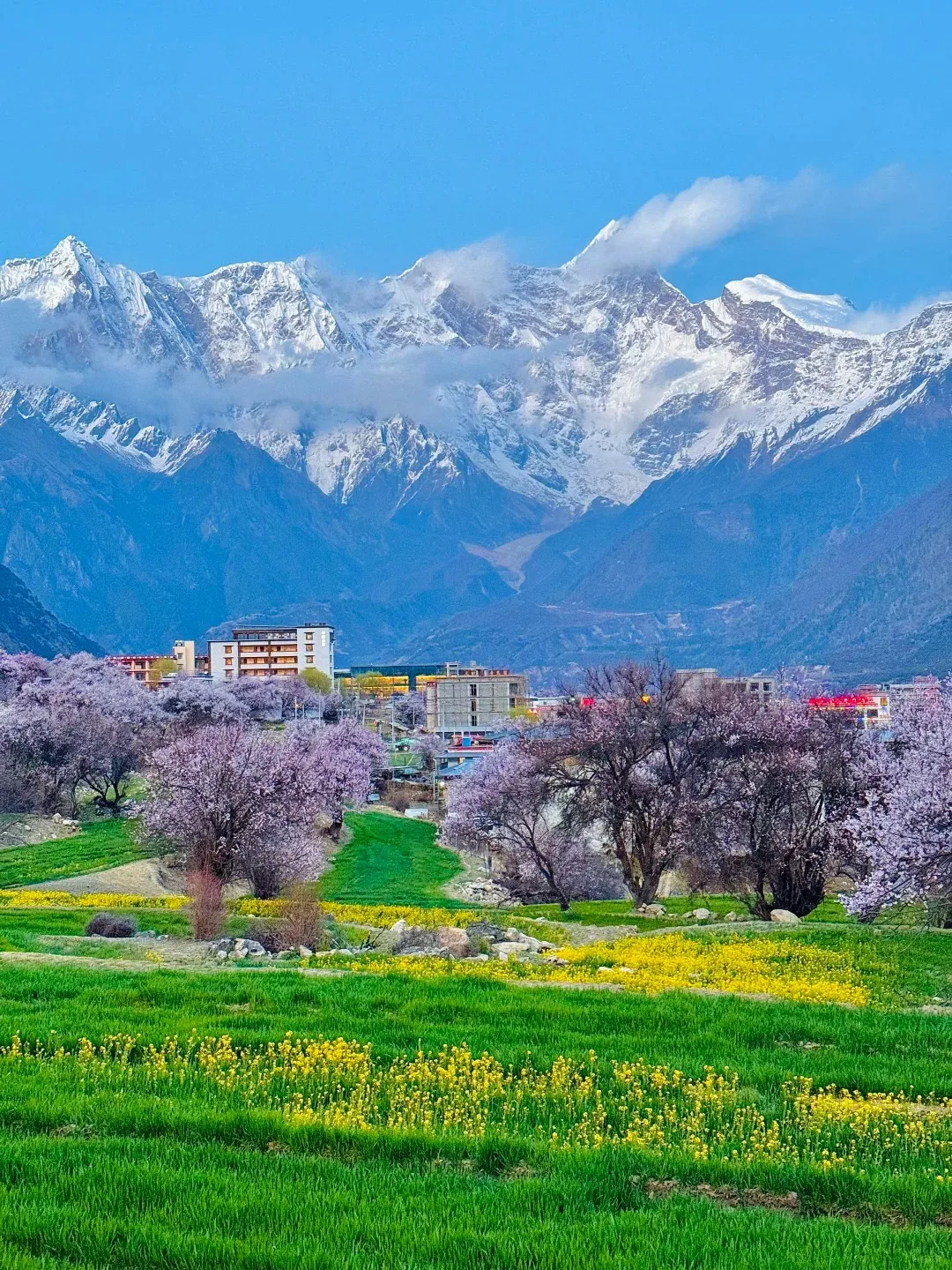 26375657cb2327cf1fee963250a73e9a-sz_693005