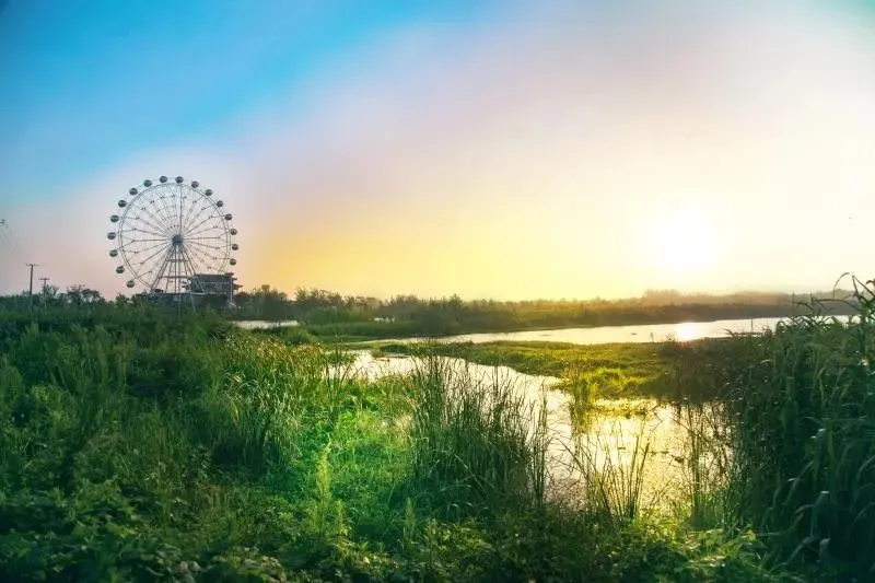 265163d130b0dee5591574fe5268eaf8-sz_67708 265163d130b0dee5591574fe5268eaf8-sz_67708