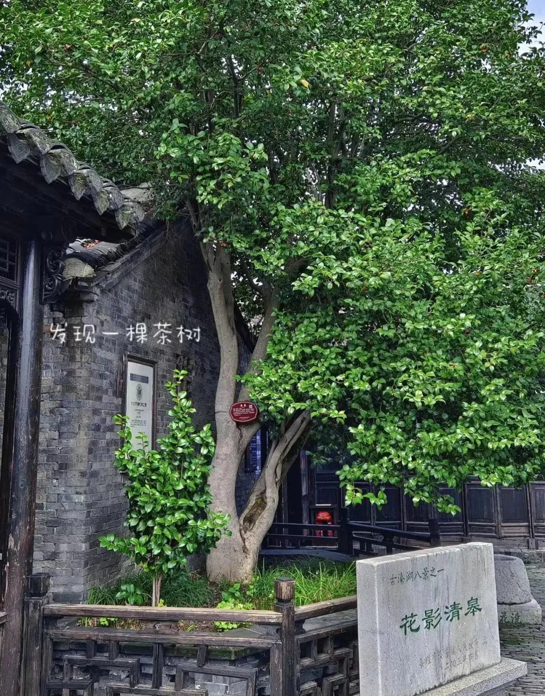 265cbb27b1443c9e56c65c2b7b01b0ae-sz_593936