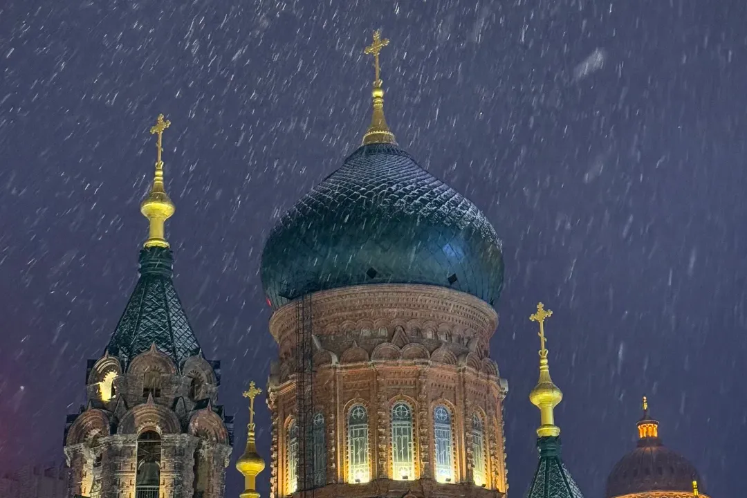 2666ef15e8b4d84c10cbca9e8625554d-sz_2282969