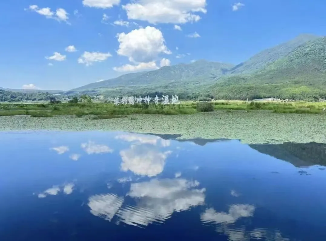 2691824c98834be1c6e013fffb5c32da-sz_142247