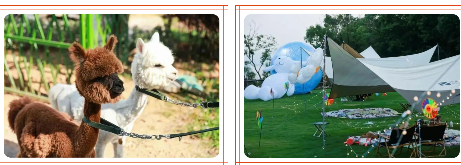 26990a4e131e2069b3506f2752268aa7 26990a4e131e2069b3506f2752268aa7