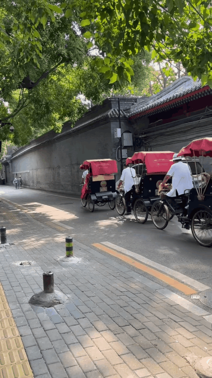 269aa797533f11073e151e62677c54a5-sz_13185918 269aa797533f11073e151e62677c54a5-sz_13185918