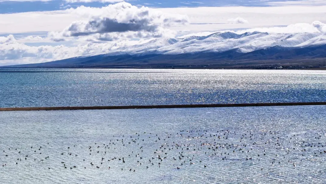 26a1d6d21e80eca1938fa09ff6e0df15-sz_1445181 26a1d6d21e80eca1938fa09ff6e0df15-sz_1445181