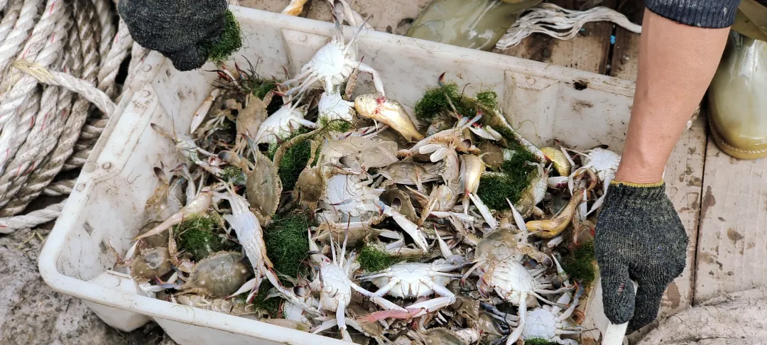 26c64372225c4f1ffff1cdcad19b8b2b-sz_9219138