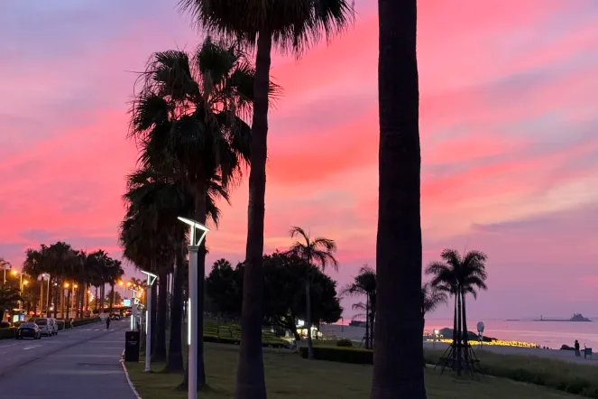 278823d39fdbd18a054a2295c5ece3f8-sz_652558 278823d39fdbd18a054a2295c5ece3f8-sz_652558