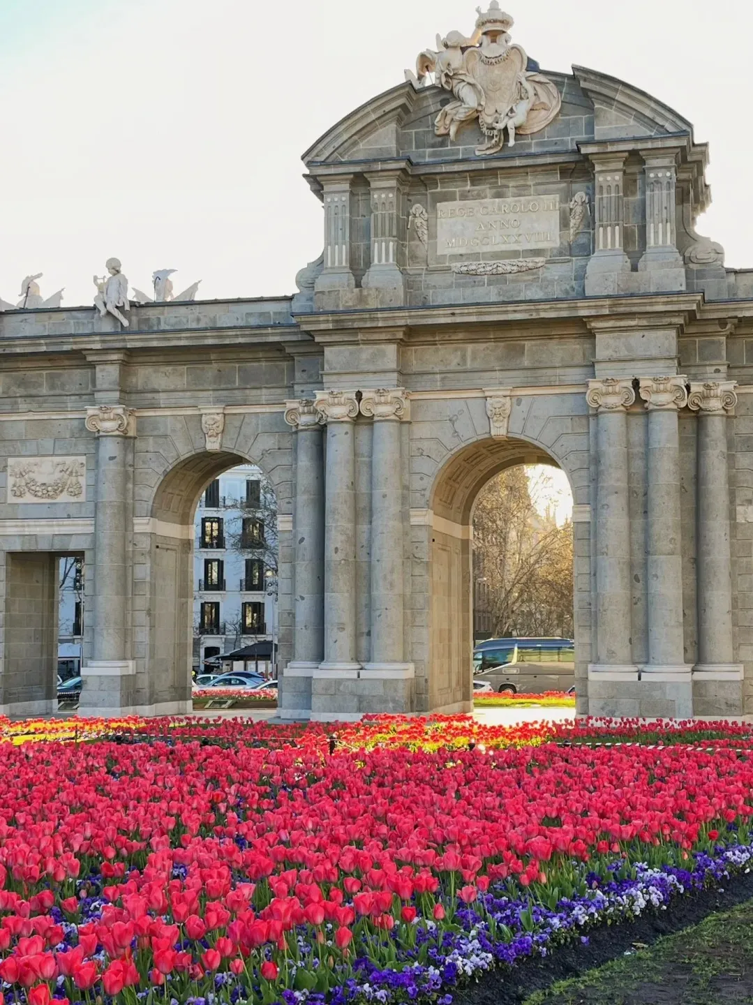 279e5622121448cc41fc5e881592a022-sz_474516