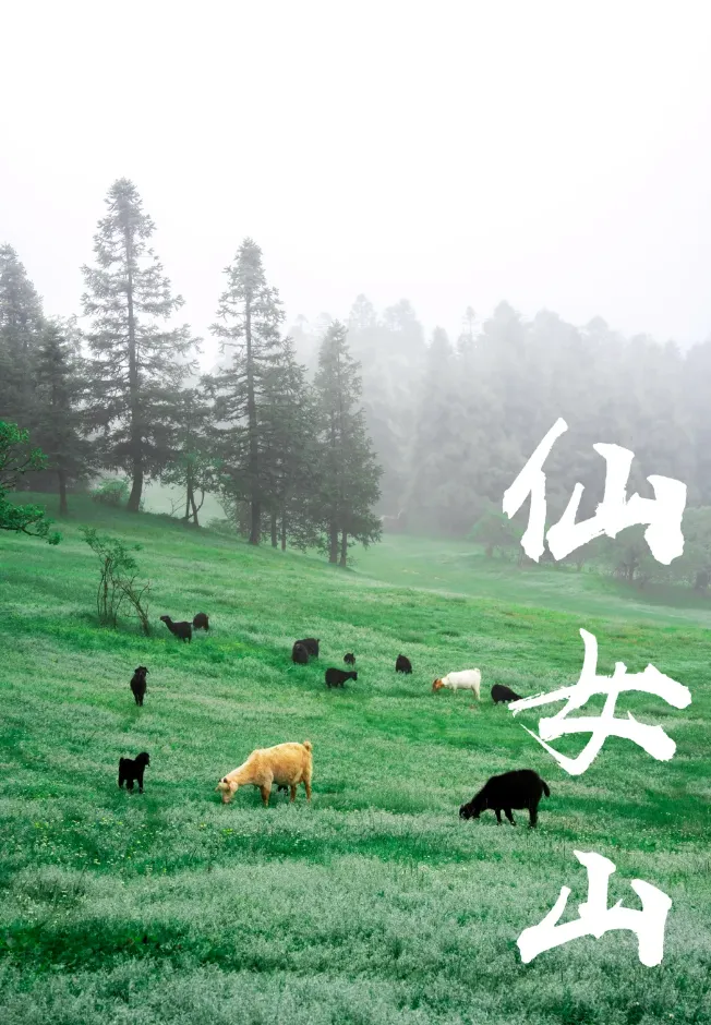 27a13ee3c1ef969c9cf48849c2147858-sz_826952 27a13ee3c1ef969c9cf48849c2147858-sz_826952