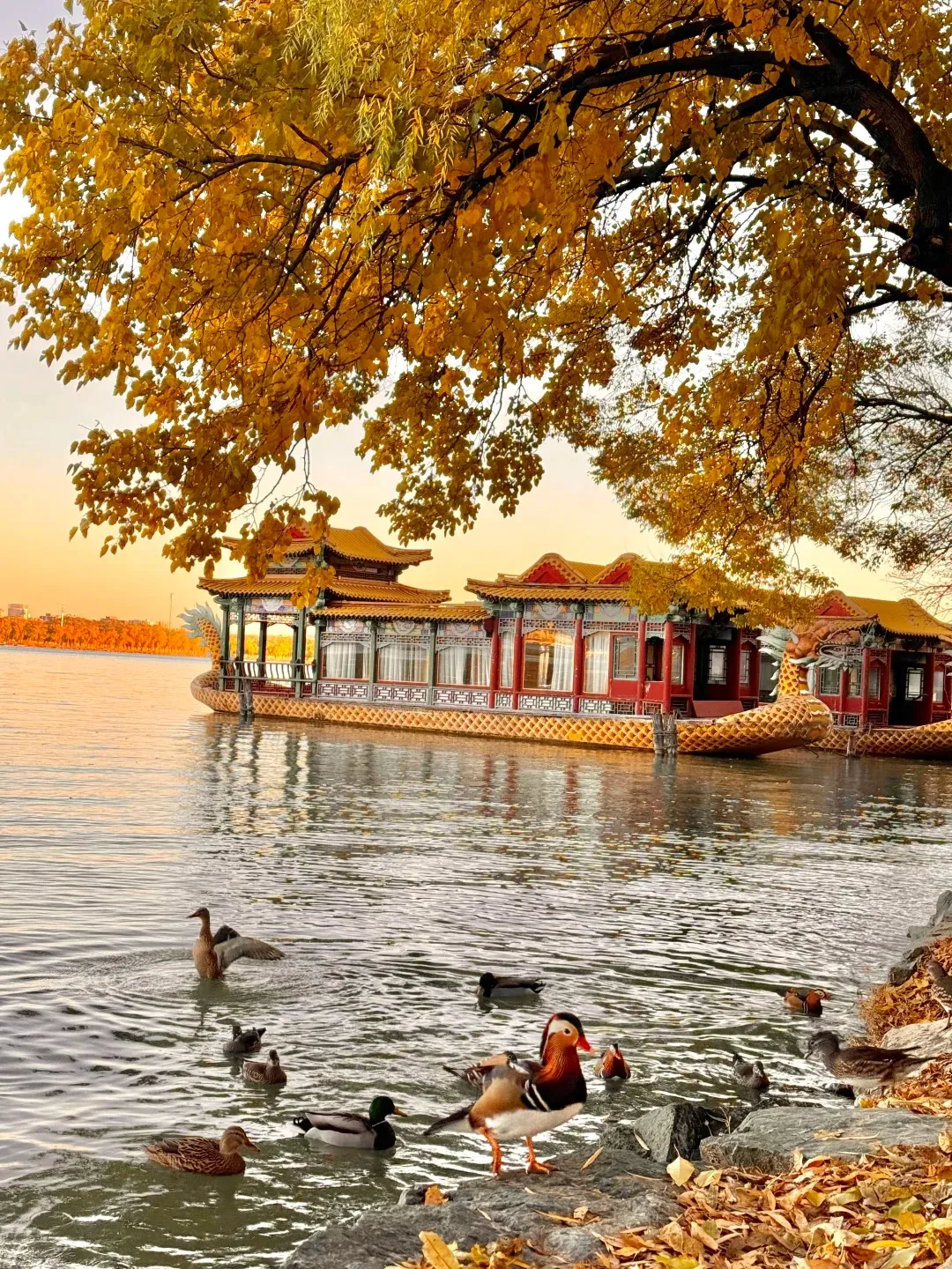 27ae77c3e7fc586391105ae136da65d6-sz_806813 27ae77c3e7fc586391105ae136da65d6-sz_806813