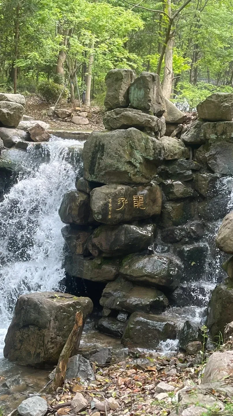 27b1bace25dd0787130e3c7ae3df4f2f-sz_690634