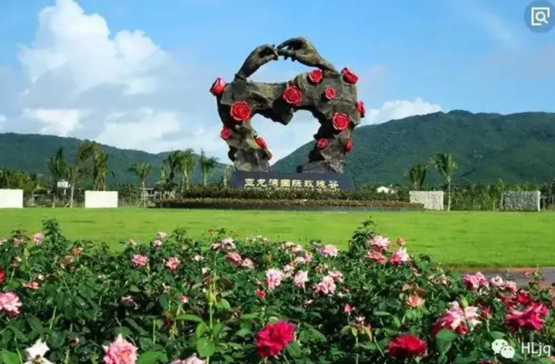 27c83e411fd5015935a735a4d7a6923a-sz_2156704