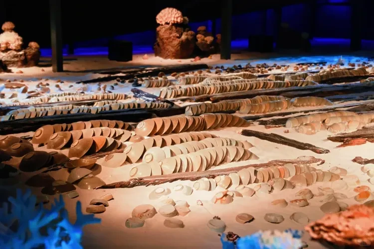 27dadb88c4dc27d6bf0d6314ad2bf18b-sz_1984547