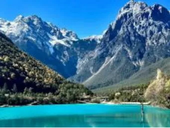 2849cce7d6766a4e4c2793997a66fd25-sz_350083