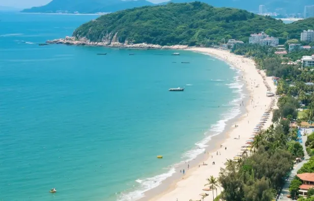 288e238ca571eed1922838a56ca123b9-sz_446550