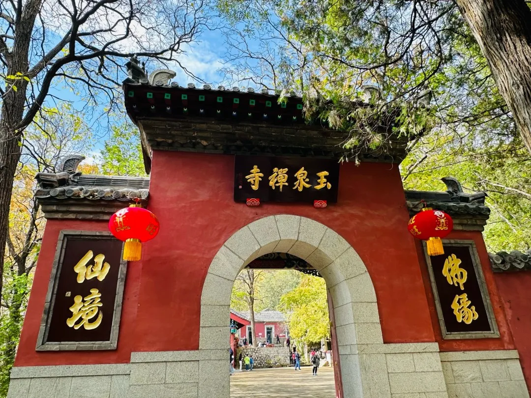 28ab894e80ac6a1f37c61d73dd14fb31-sz_366218