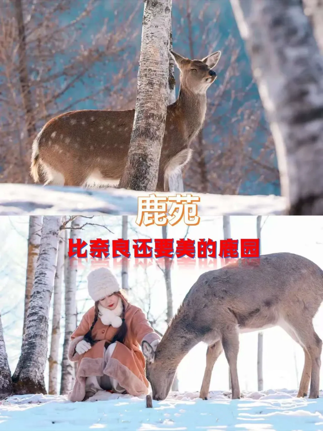 28cd607a85340d81af9024d2e065e46c-sz_398116 28cd607a85340d81af9024d2e065e46c-sz_398116