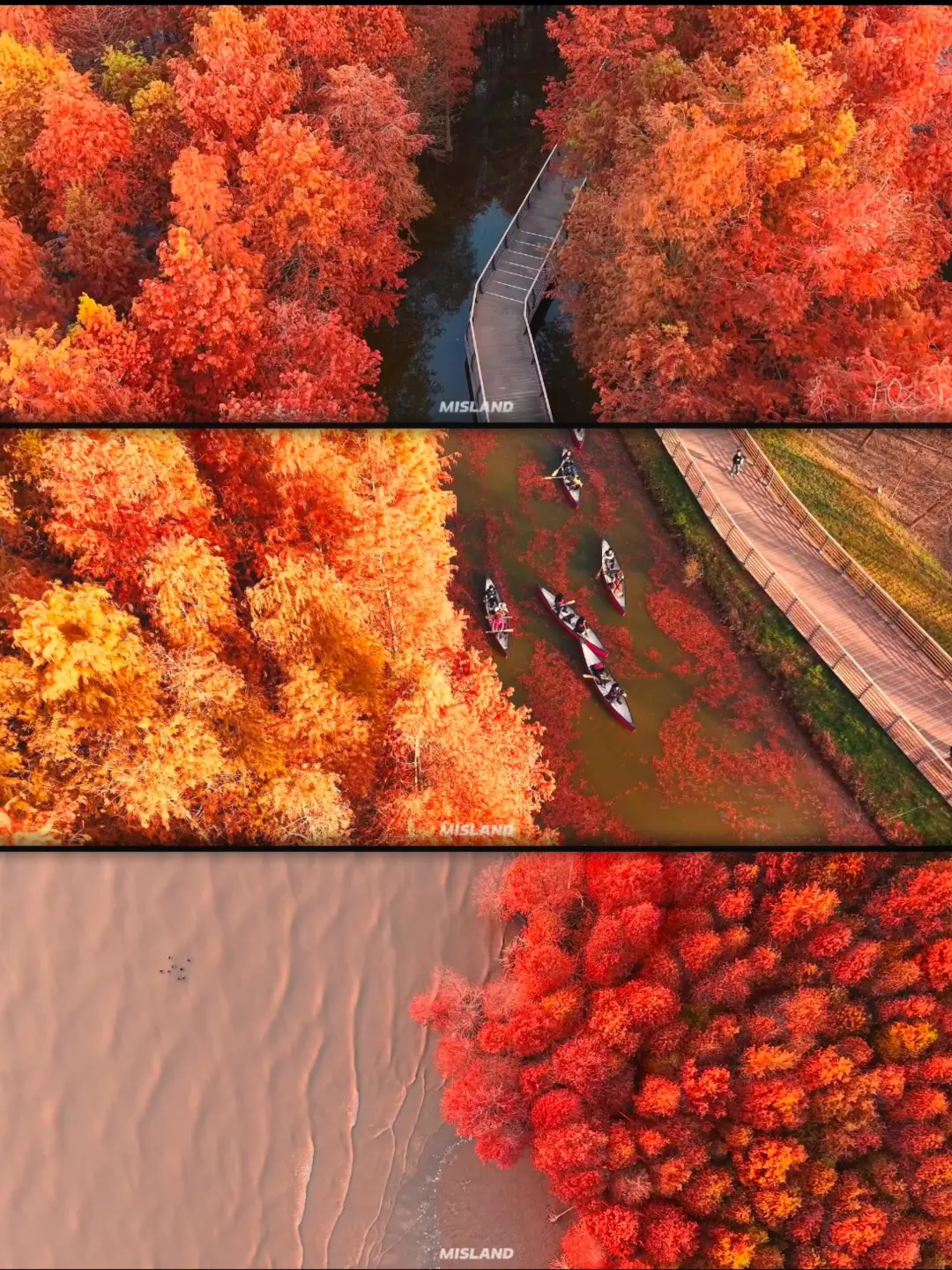 28d066e2484be6d4863cfae0276cade0-sz_1982980 28d066e2484be6d4863cfae0276cade0-sz_1982980