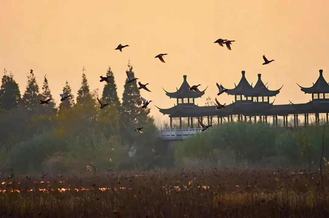 28ea9b0d36c16616060b54c0c0437fb9-sz_80195