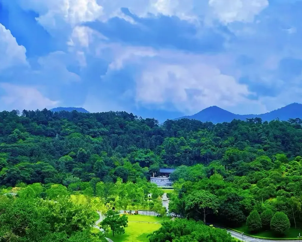 28ff79610dbf4ef18387ddde4f3b467b-sz_289362 28ff79610dbf4ef18387ddde4f3b467b-sz_289362