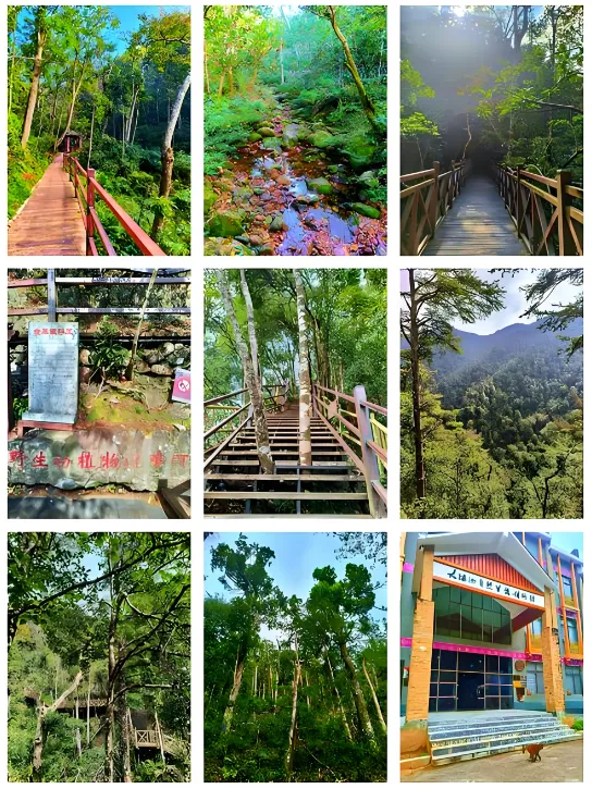 292f5a62c279a949dde633f304653724-sz_981251-1