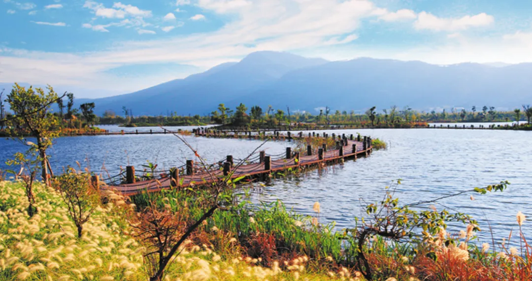 295b6085c9007f9fbb70241b06ac99d3-sz_1573093-1