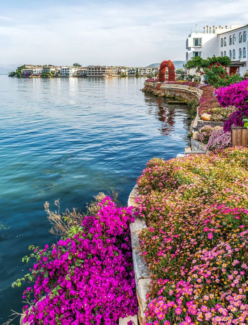 295d4757427522fa06c0bc9250514482-sz_2276155