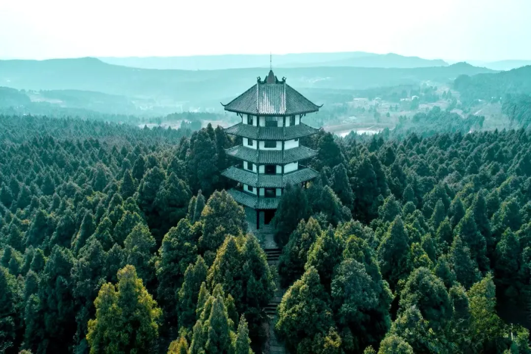 29cece4099e273f84f4d1a8fcb792015-sz_512291