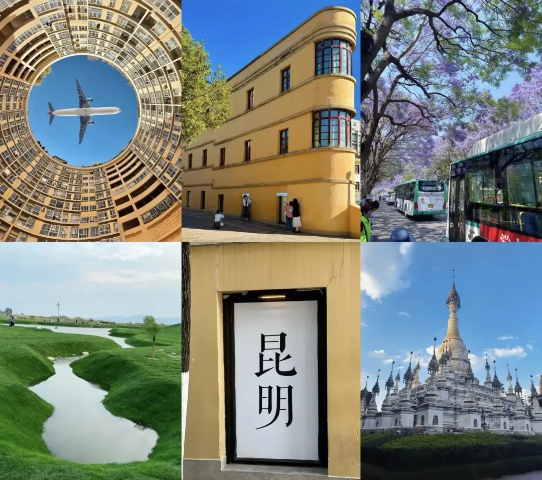 29e8a5a226a56486202a79ffb7ad5525-sz_340538