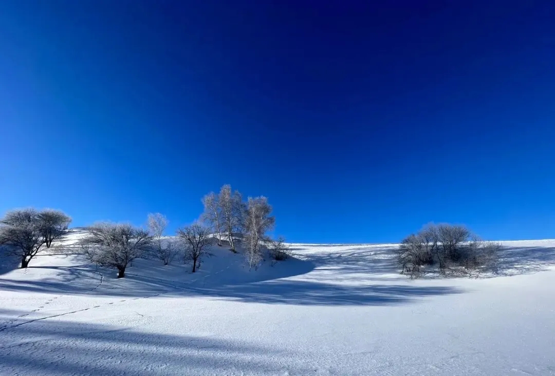 29fdfe3481e18cae77a1bc36984b471d-sz_251210