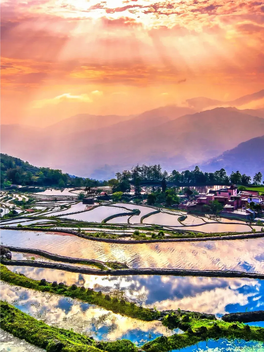 2a09053db182f0edb6b79d4bb363dbf6-sz_460868 2a09053db182f0edb6b79d4bb363dbf6-sz_460868