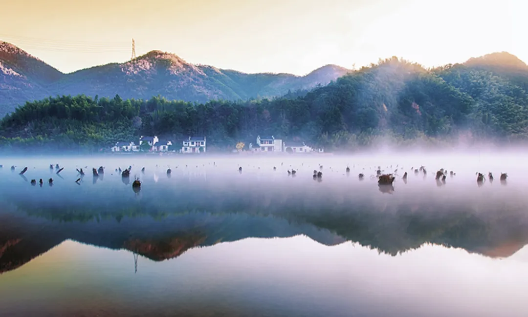 2a2fc838d33ef9f10418beee78716127-sz_740087