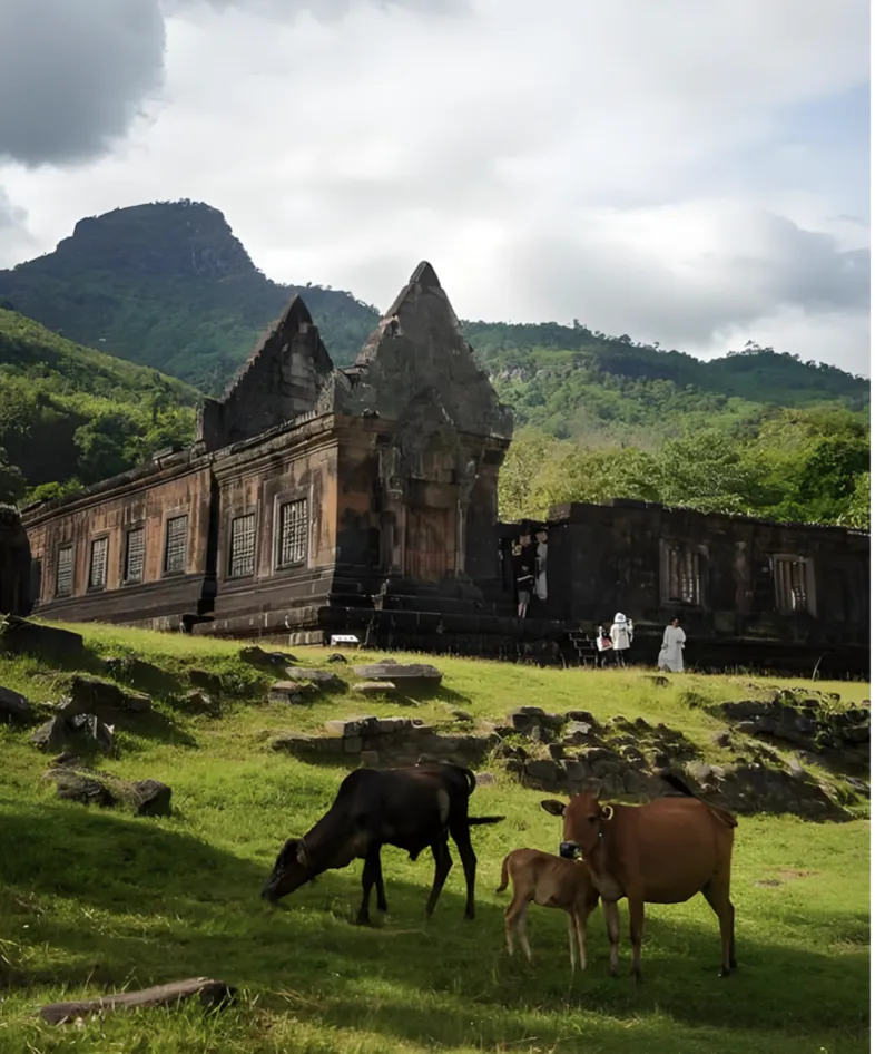 2a489e90551130faf73f2956e704b0f6-sz_842106